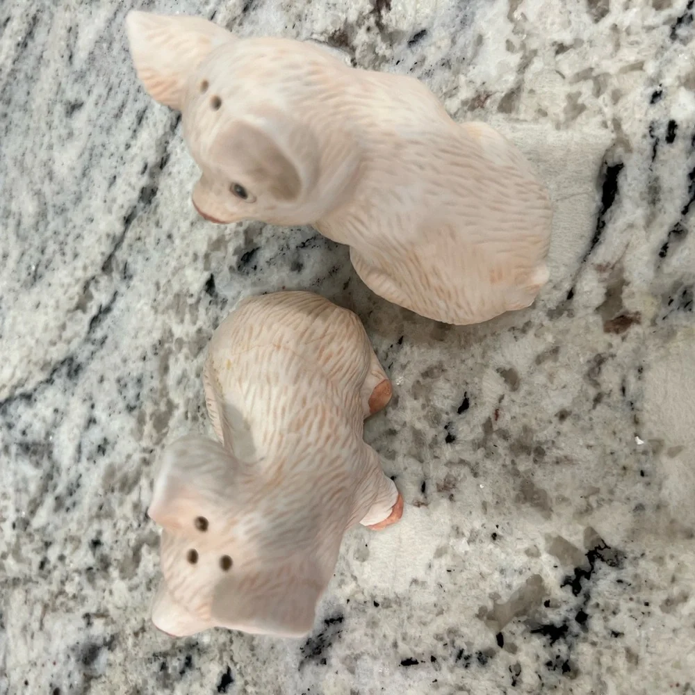 - Salt and pepper pig shakers